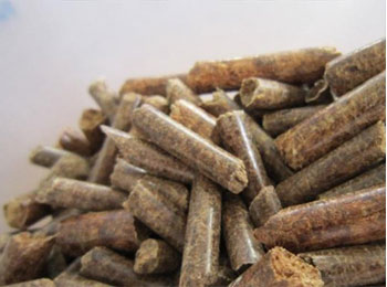 生物質顆粒鋸末顆粒機對原料有哪些要求